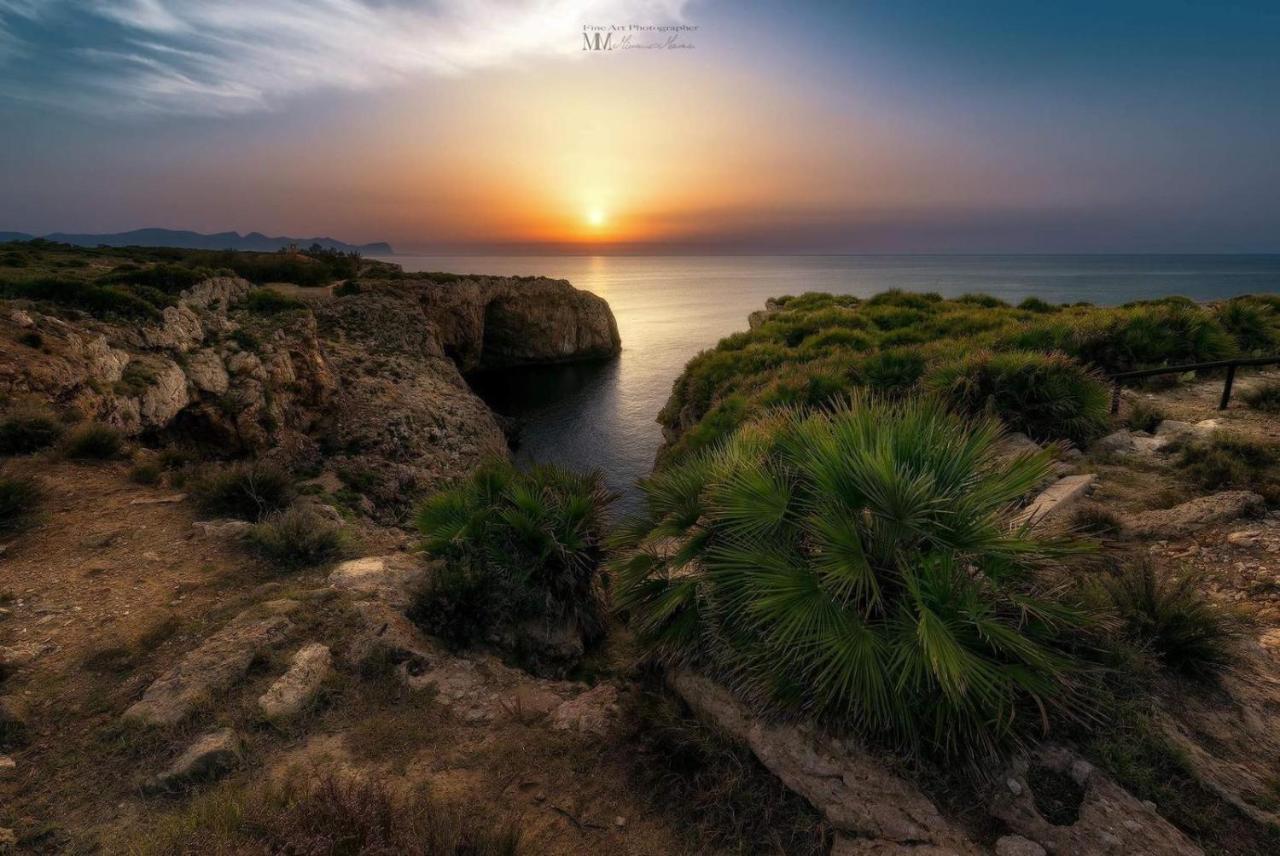 טראסיני Green Garden מראה חיצוני תמונה